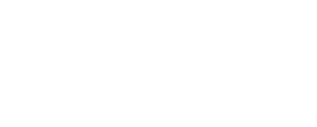 DAIDONG STEEL GROUP